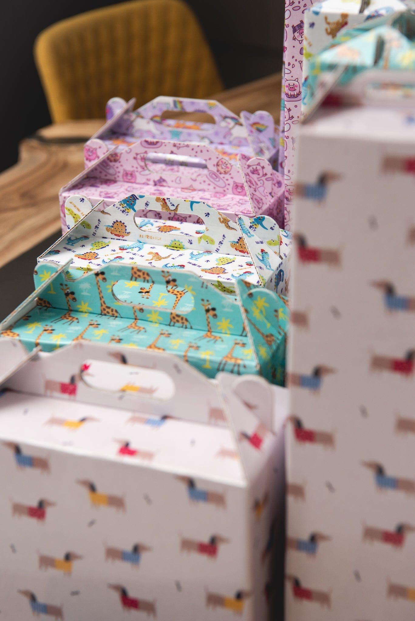 Dinosaur Fun Gift Box Set