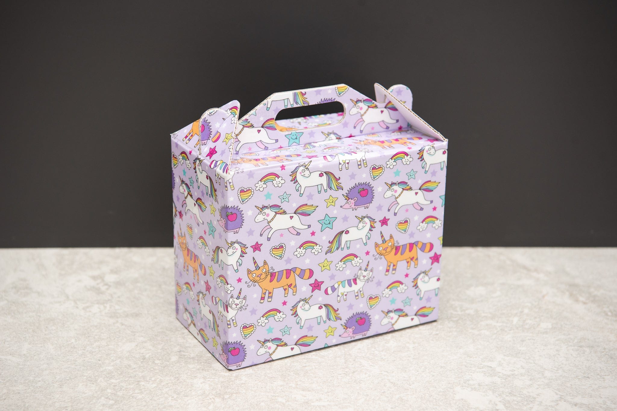 Animal Unicorn Fun Gift Box Set