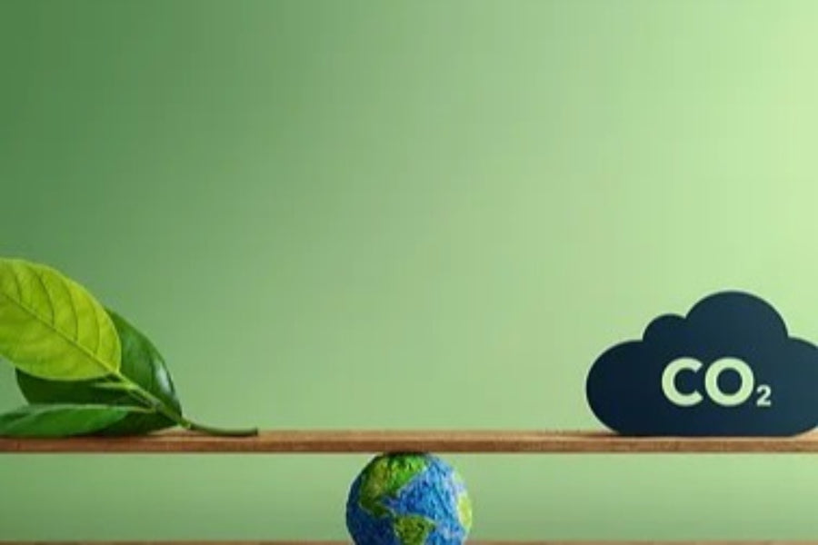 Environmental policy statement by The Glitter Tree 2023