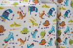 Dinosaur Fun Gift Box Set